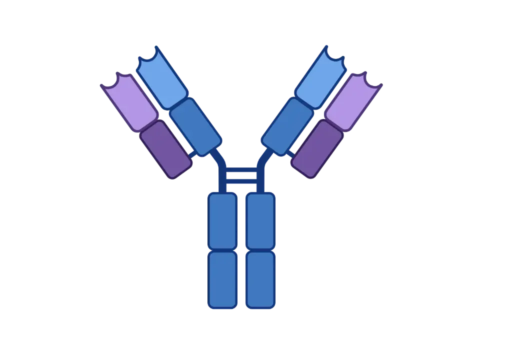 ASB8 Antibody  Biotin conjugated   