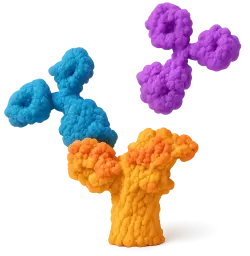  594 Rabbit IgG isotype control (100 T)